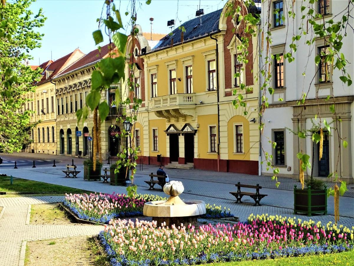 Fortuna Apartman Mini Эгер Экстерьер фото